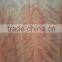 Fancy plywood with clear painting