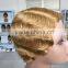 wholesale cheap human hair full lace wig indian hair wig for black women