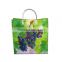 Hotsale high quality environmental friendly PP gift Bags (BLY4-1607PP)