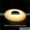 LED Ceiling Light