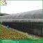 High quality shade net house greenhouse sun shade net agricultural shade net