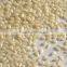 machine sortex sesame seeds