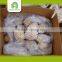 Farm Organic Fresh Potato