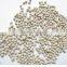 HIGH QUALITY WHITE PEPPER