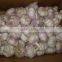 China Red Garlic Exporters, Garlic Selling Leads