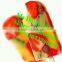 commercial Popsicle machine/ice stick making machine/fruit ice cream machine