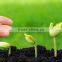 factory dap fertilizer 18 46 0 prices