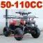 Raptor 110cc ATV