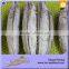 Double Clean Halal Seafood Top Quality Tuna Loin Buyer