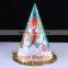 Paper Materail Printing Party Hat /Cap For Man And Woman