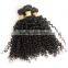 Fast Delivery Online Shop 100% Unprocessed Wholesale Tangle Free No Shedding Curly Raw Virgin Indian Hair