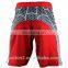 Wholesale custom your professional training MMA shorts