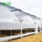 Low Cost Polytunnel 200 Micron UV Resistant Plastic Film Greenhouse
