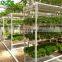 Greenhouse Indoor Hydroponic Channels Set