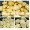 sweet potato washing machine/carrot/potato/taro vegetable washing machine