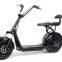 18 inch fat tire citycoco harley electric scooter two seats