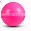 Custom Cheap price 45cm, 55cm, 65cm, 75cm, 85cm, 95cm inflatable PVC Gym ball Exercise Yoga ball