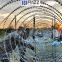 Double Spiral Cross Razor Barbed Wire Barrier with Concertina Coil for Border Line