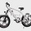 Electric Bike Aluminum Frame Aluminum Alloy Tire  48v 350w  LED light Forward-looking Waterproof LCD Disc Brakes 6 Speed Grades