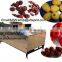 fruit seed removing machine, fruit seed separator