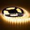 Flexible SMD 16.4ft 5630 Non-Waterproof / Waterproof LED Strip 12V DC with WW NW CW 3 colors