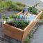 Vintage wooden wood succulents box storage box finishing wood meaty flowerpot