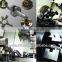 Slant Bed CNC Lathe with 12-station Turret Hot-sale DL40