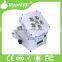 China Mini Projector 6in1 High Beam Laser Light Cheap DJ Decoration Par Light with Battery