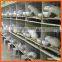 Pet Cages, Welded Mesh For Cages, Cheap Galvanized Welded Rabbit Cage Wire Mesh