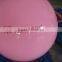 Hot sale pvc exercise ball