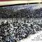 New Design Parlour Bedroom Elastic Black Shaggy Carpet