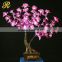 60cm height bonsai led light for A small garden indoor outdoor decoration
