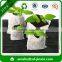 Cheap strawberry grow bags nonwoven fabric manufacturer