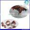 passive rfid animal foot ring rfid chicken tag with 125KHz Hitag S256 Chip