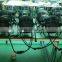 54*3w RGBW 4color IP65 outdoor led par 64 stage light
