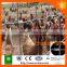 Diamond mesh horse fencing and cattle fence hot sale