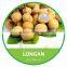 HIGH QUALITY FRESH LONGAN // Competitive Price From Vietnam