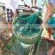 Viet Nam lobster