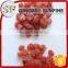 Organic Dried Strawberry Fruit Extract