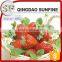 Fresh Dried Strawberry Fruit