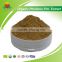 Competitive Price Organic Phellinus Pini Extract