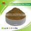 2015 Hot Sale Organic Phellinus Pini Extract