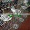 Galvanized 2m 4 Tier 16 Nests Pigeon Transport Cage