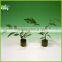 7.5cm Starter Plugs Cubes - rockwool hydroponic grow media. Propagation Cloning Rockwool Cubes