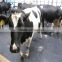wholesale animal mats ,horse&cow mat