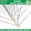 2017 handmade plastic bird spikes/wall spike/garden metal bird spikes