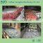 500kg/h garlic washing machine