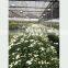 Production And Growing Greenhouse