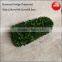 Mini cube boxwood preserved