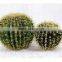 Indoor & Outdoor Decoration Artificial Ball Cactus